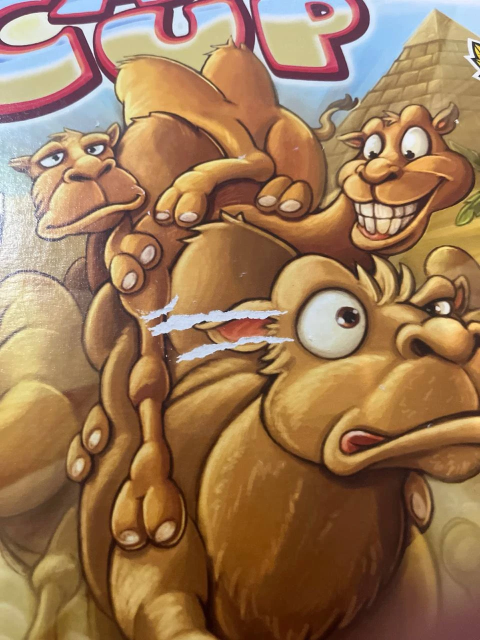 Camel Up – photo 4